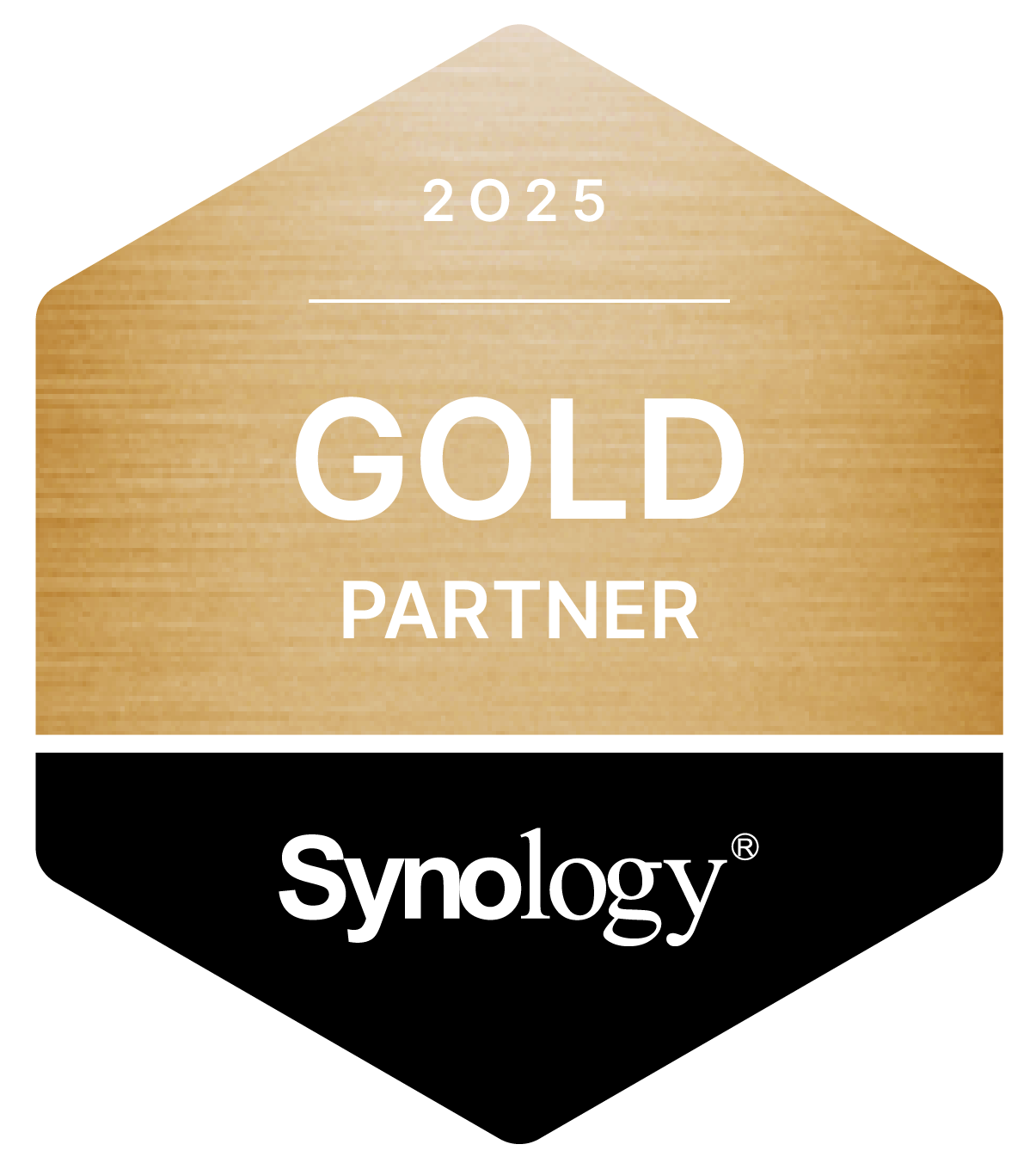 Synology Gold Partner 2025